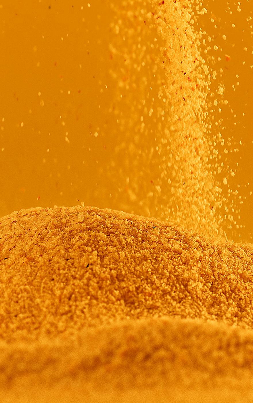 Seasoning powder