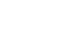 동성